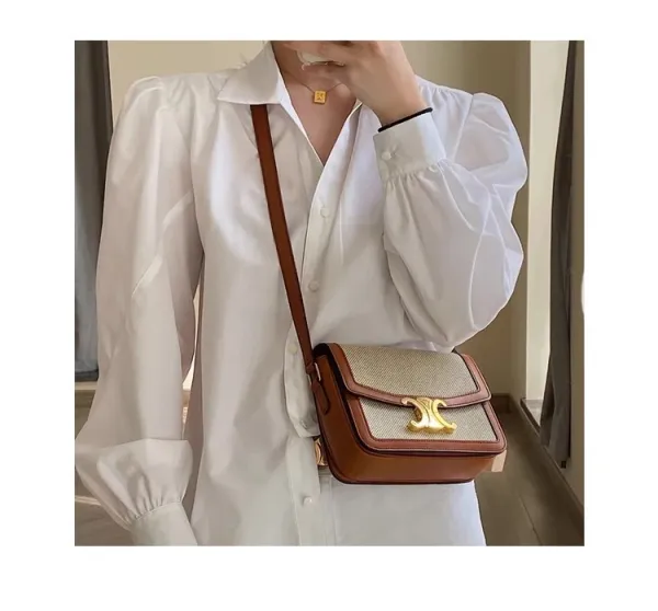 Celine Triomphe Mini Bag Beige and Brown Canvas with Gold Hardware Crossbody Bag - 16