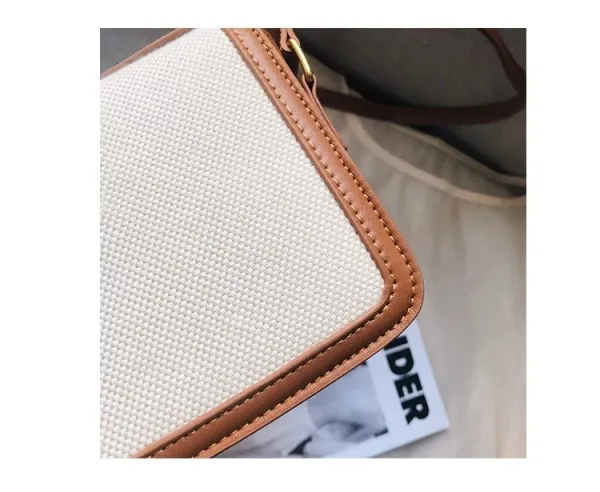 Celine Triomphe Mini Bag Beige and Brown Canvas with Gold Hardware Crossbody Bag - 26