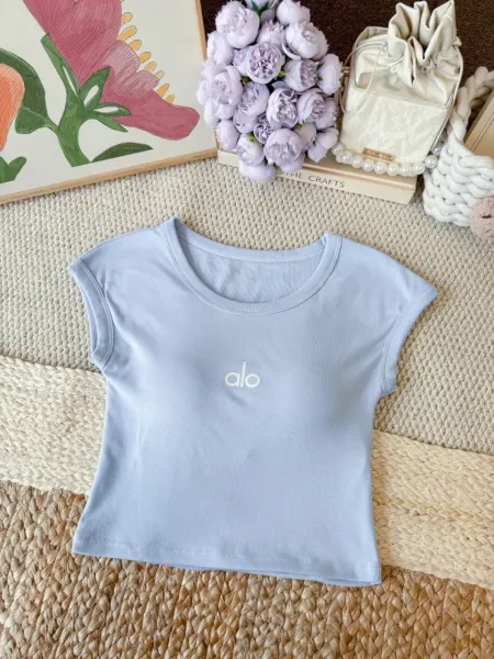 Alo Logo Crop Top Burgundy T-Shirt - 22