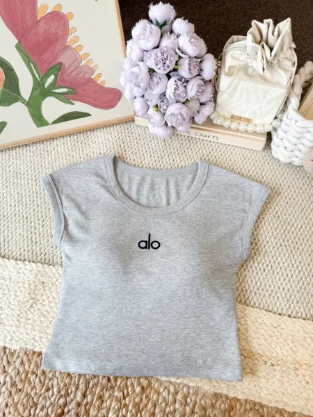 Alo Logo Crop Top Burgundy T-Shirt - 23