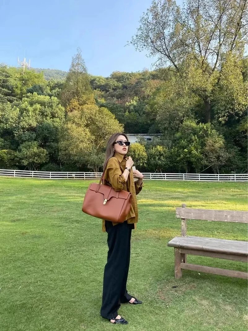 Celine Triomphe Tote Brown Leather Handbag - 24