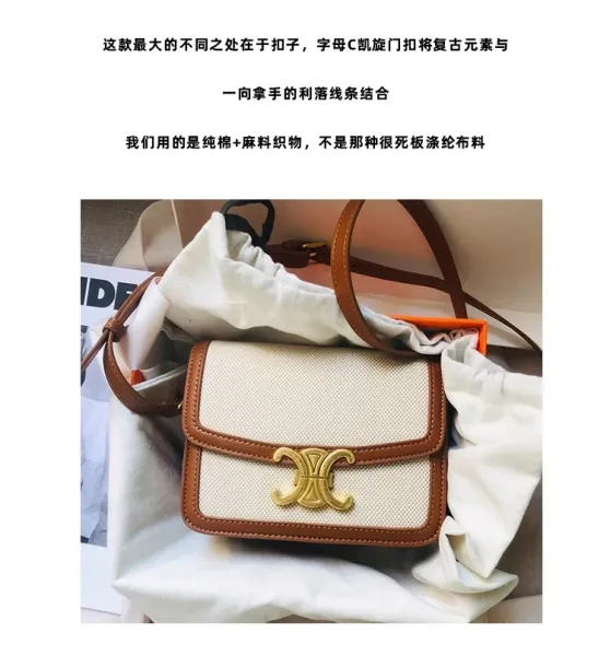 Celine Triomphe Mini Bag Beige and Brown Canvas with Gold Hardware Crossbody Bag - 12
