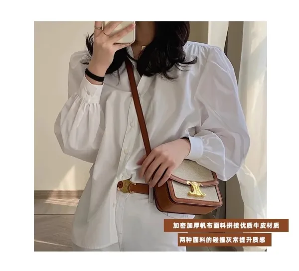 Celine Triomphe Mini Bag Beige and Brown Canvas with Gold Hardware Crossbody Bag - 15