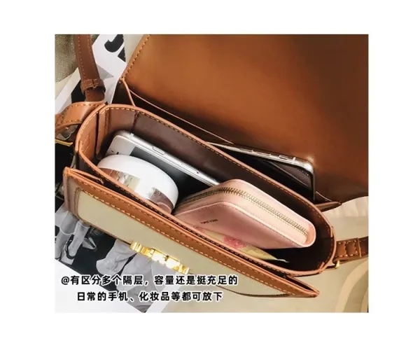 Celine Triomphe Mini Bag Beige and Brown Canvas with Gold Hardware Crossbody Bag - 21
