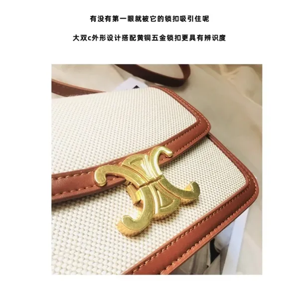 Celine Triomphe Mini Bag Beige and Brown Canvas with Gold Hardware Crossbody Bag - 25