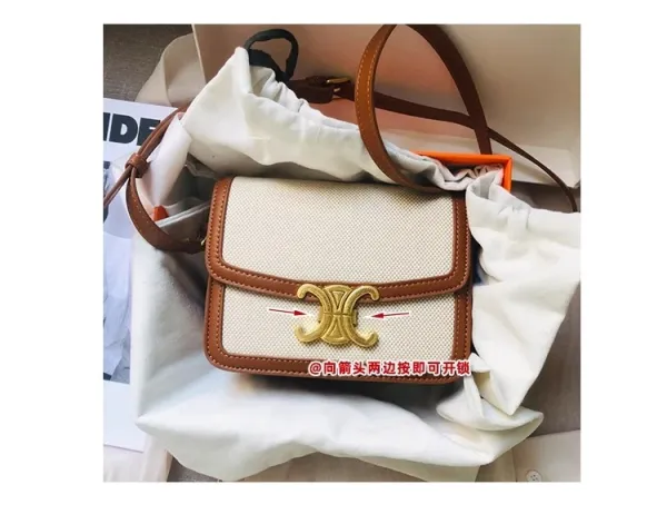 Celine Triomphe Mini Bag Beige and Brown Canvas with Gold Hardware Crossbody Bag - 6