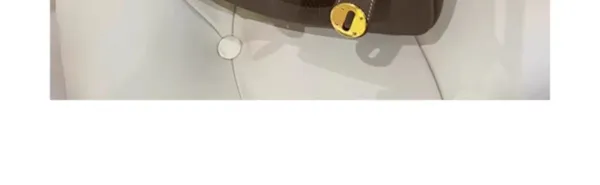 Hermès Lindy Bag 30 in Gris Tourterelle Shoulder Bag - 19