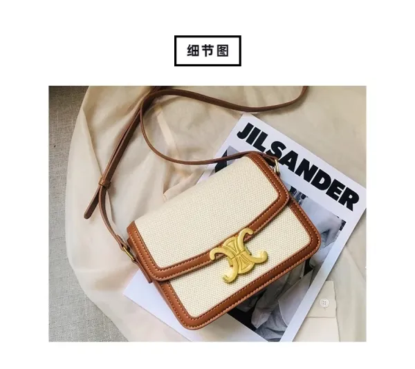 Celine Triomphe Mini Bag Beige and Brown Canvas with Gold Hardware Crossbody Bag - 24