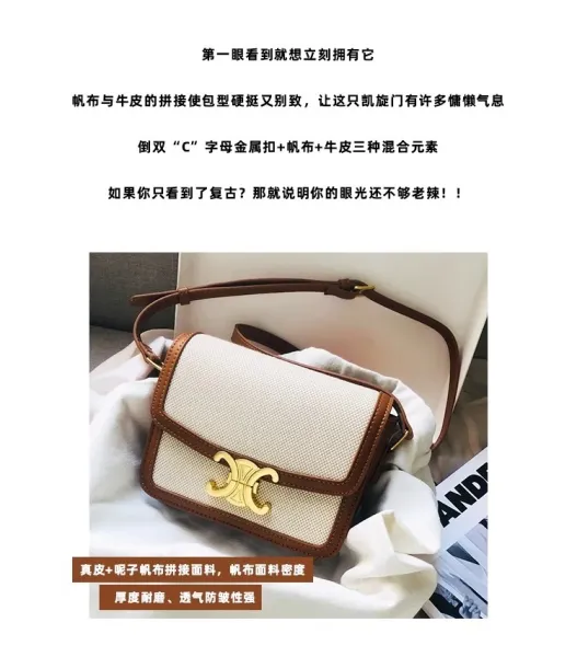 Celine Triomphe Mini Bag Beige and Brown Canvas with Gold Hardware Crossbody Bag - 5