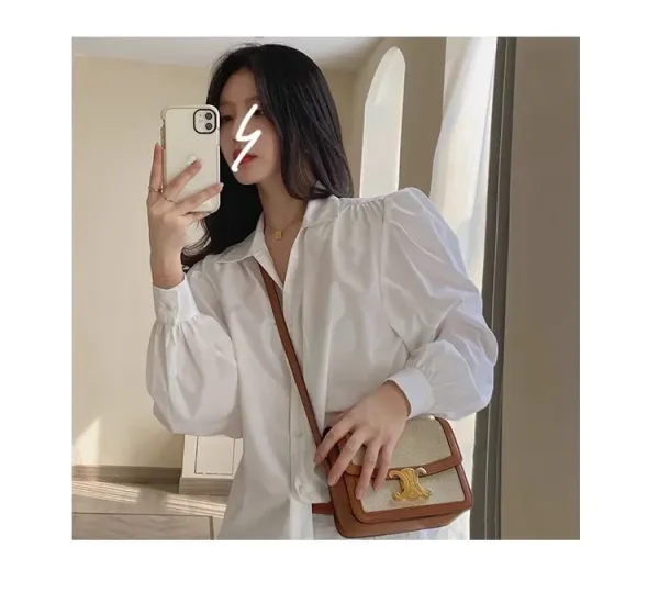 Celine Triomphe Mini Bag Beige and Brown Canvas with Gold Hardware Crossbody Bag - 14