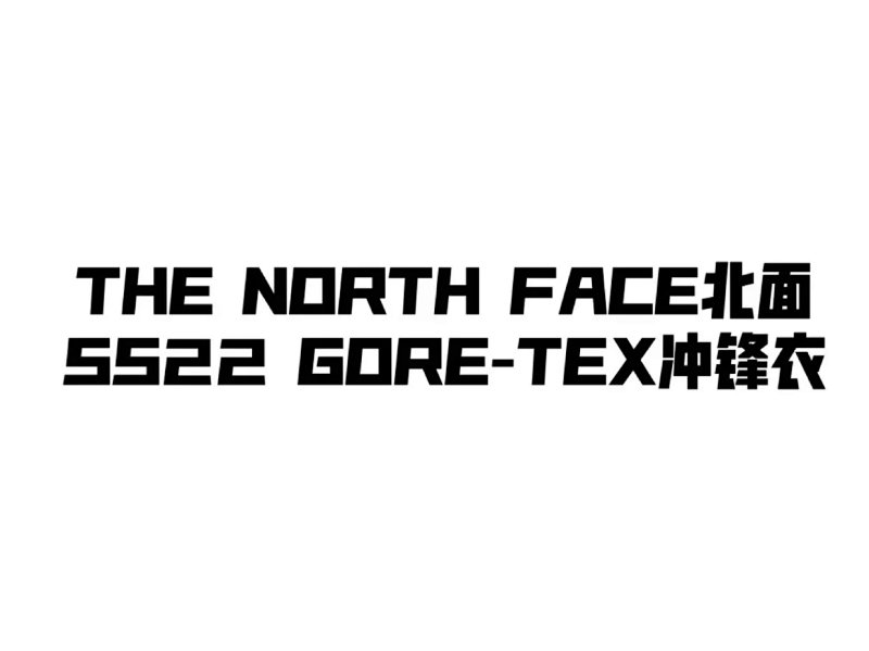 The North Face Gore-Tex