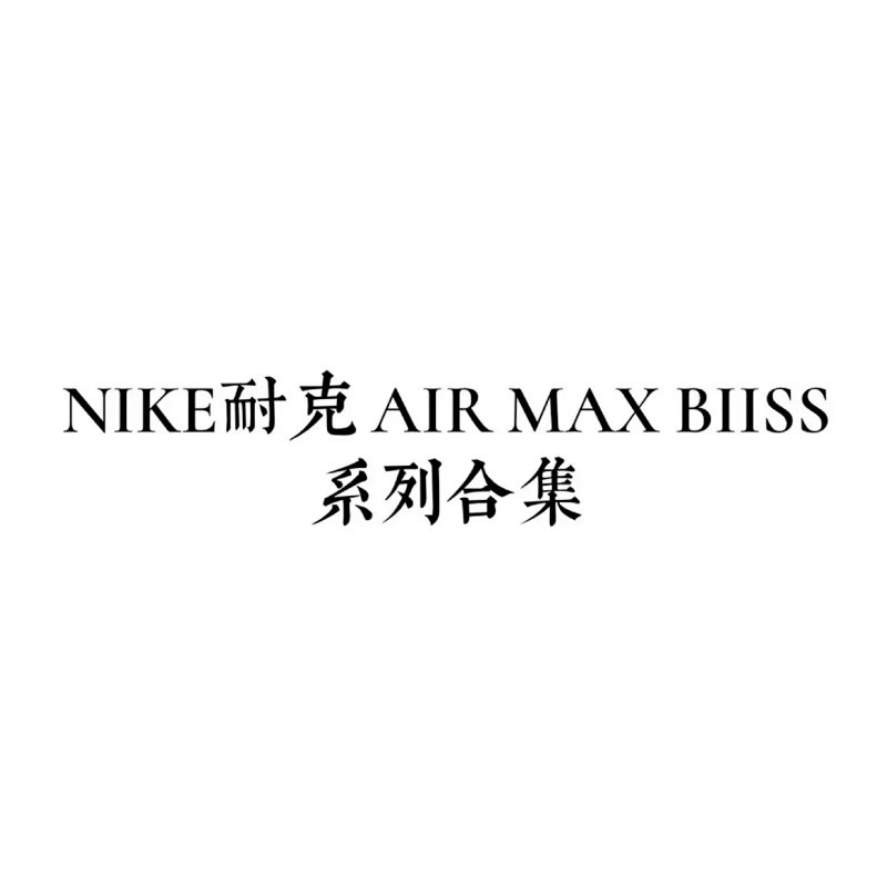 Nike Air Max