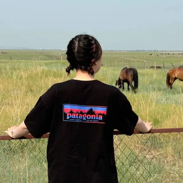 Patagonia P-6 Logo Responsibili-Tee Sage Green T-Shirt - 3