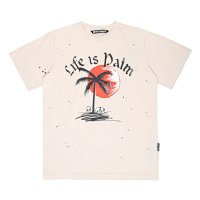 2223 apricot