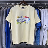 Apricot 8053