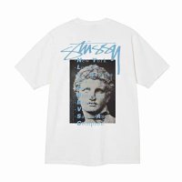 White [David]