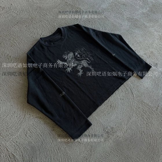 Retro Y2K Punk Graphic Crew Neck Pullover Long Sleeve Tee Shirt for Women