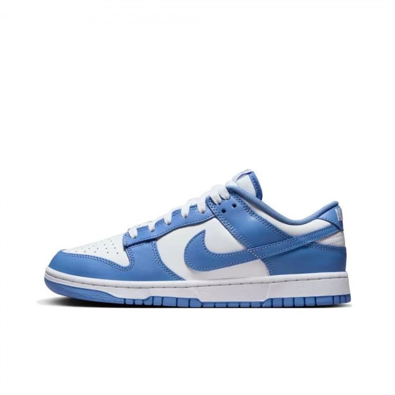 Dunk - Arctic Blue