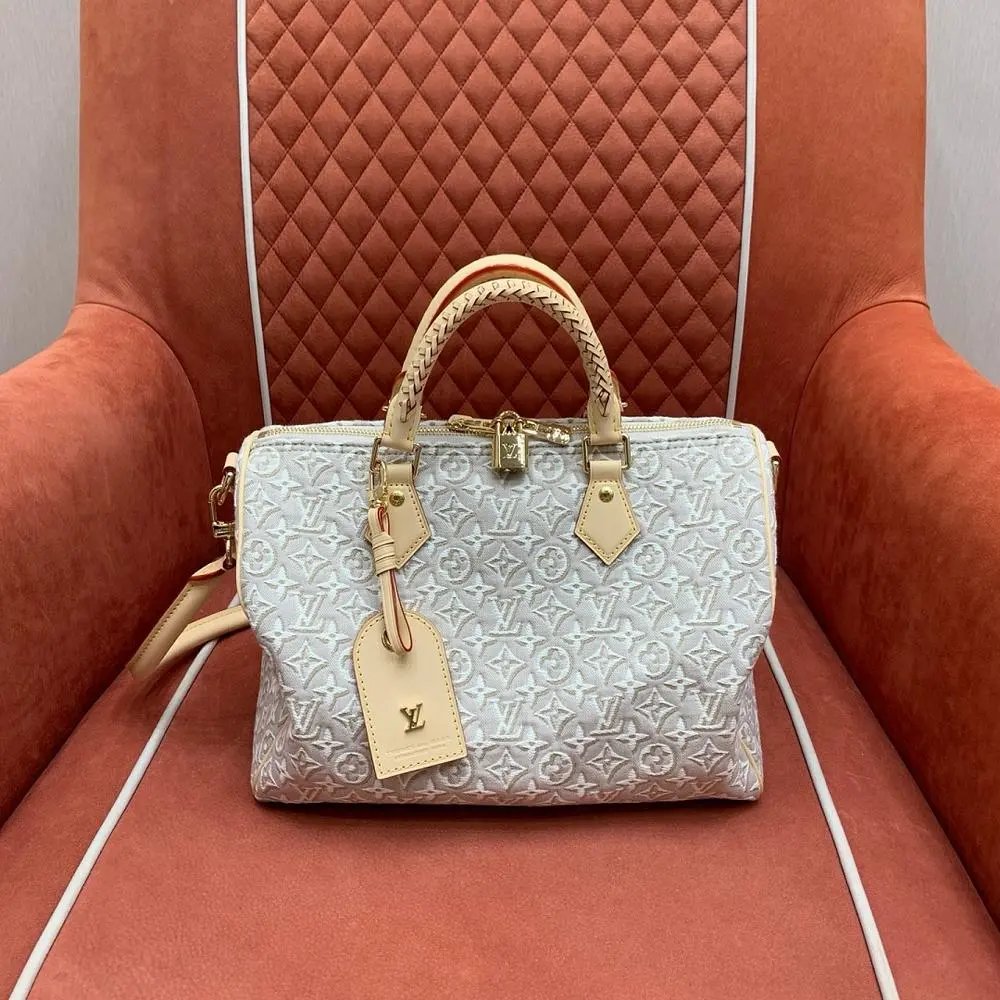 Louis Vuitton Bag — W2CFinds curated find