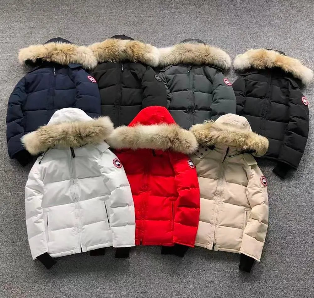 Canada Goose fur hood down jacket — W2CFinds curated find