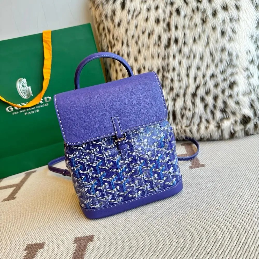 Goyard bag — W2CFinds curated find