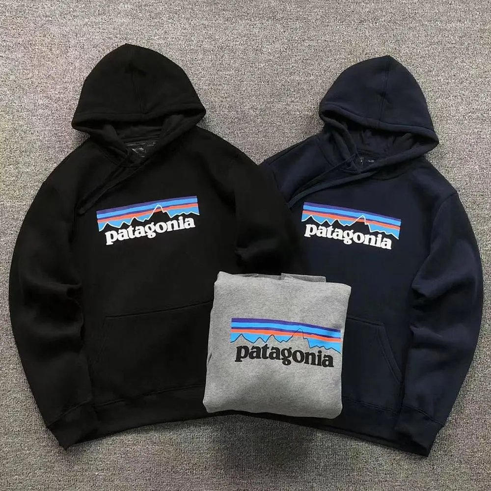 Patagonia Hoodie — W2CFinds curated find