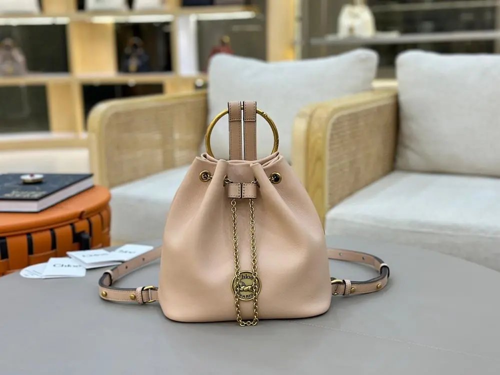 Chloe bag — W2CFinds curated find