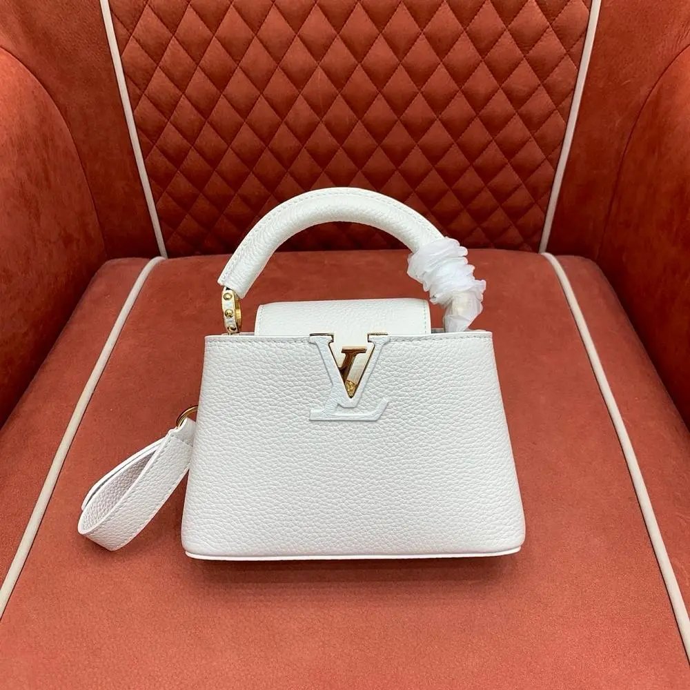 Louis Vuitton bag