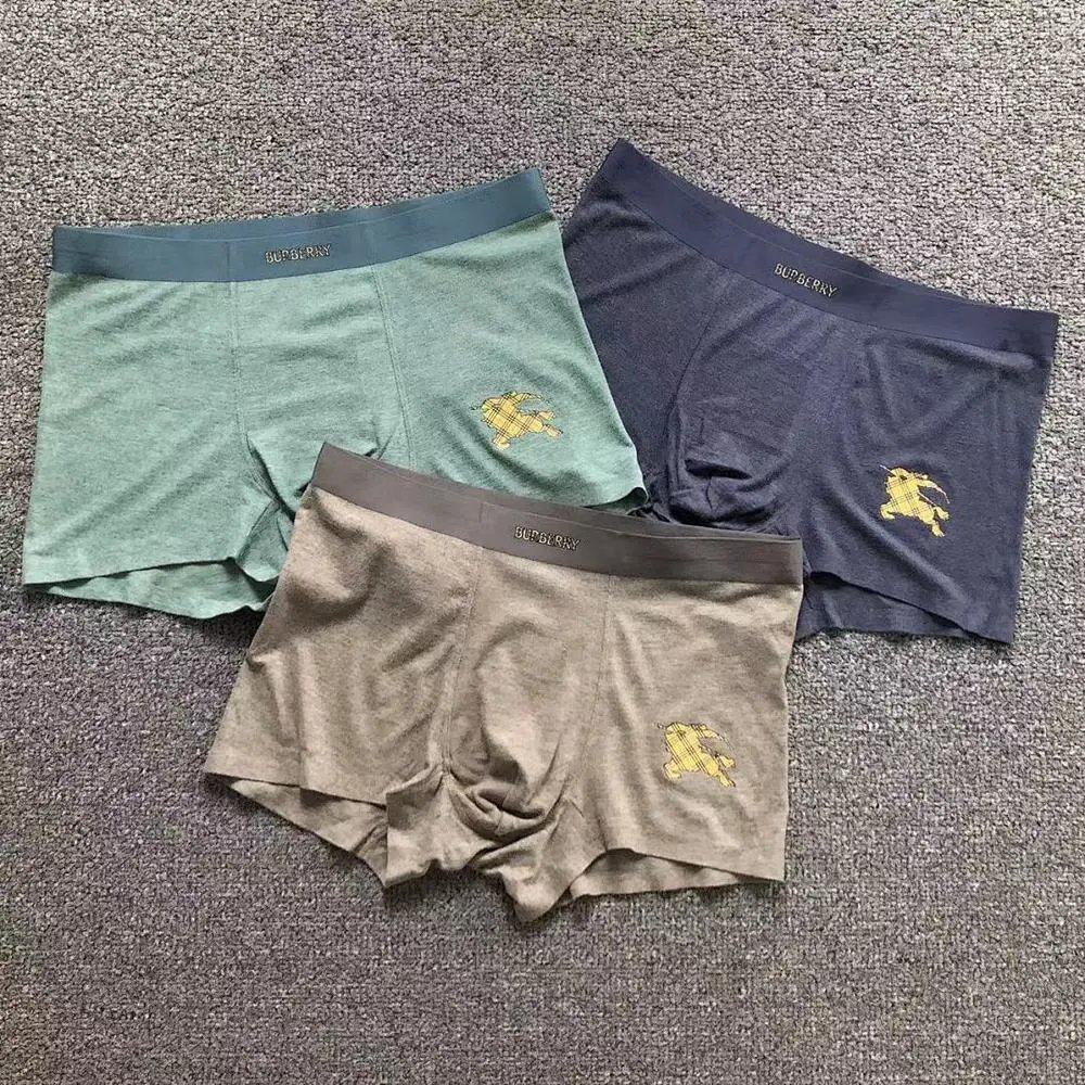Burberry underwear