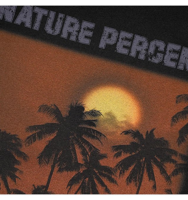 Sunset Graphic Oversized Tee: seller detail photo 11