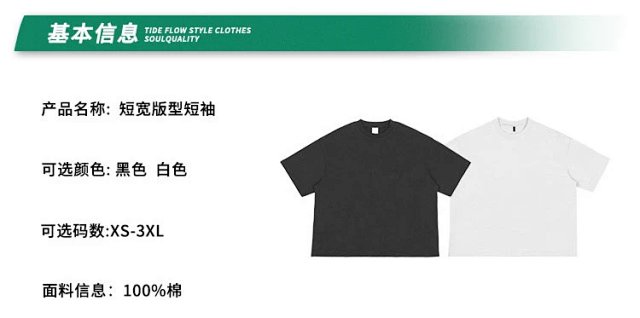 Heavyweight Oversized Cotton Tee: seller detail photo 1