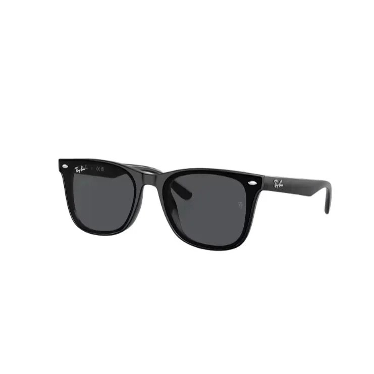 Classic Versatile R Sunglasses-NE