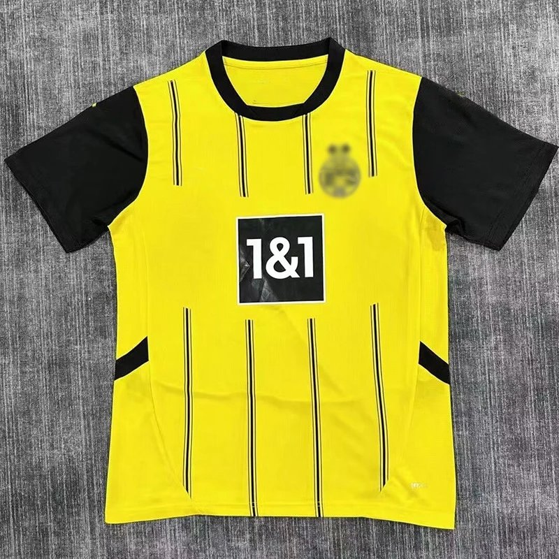 24-25 Dortmund Home