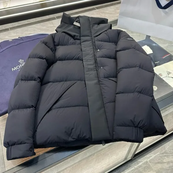 Moncler Genius 2 Moncler 1952 Down Jacket Black - 1