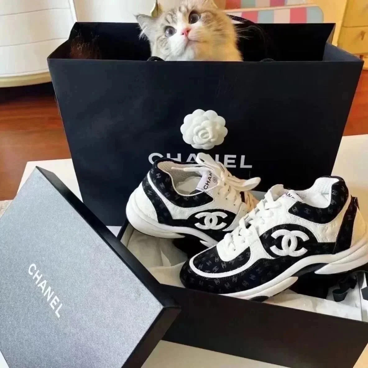 Chanel Black and Whi