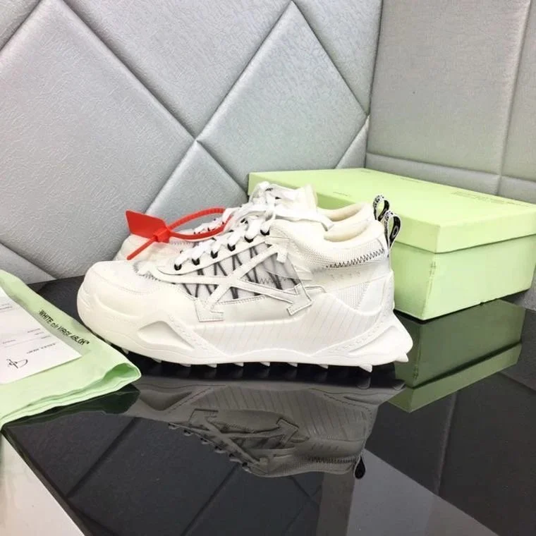 Off-White Dior Sneak