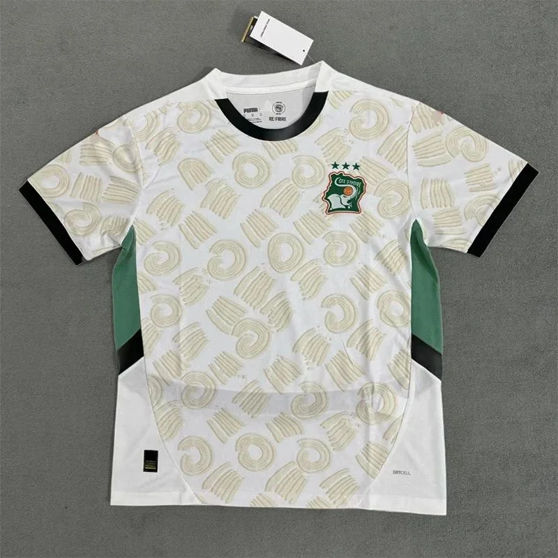 Puma Col. San Miguel