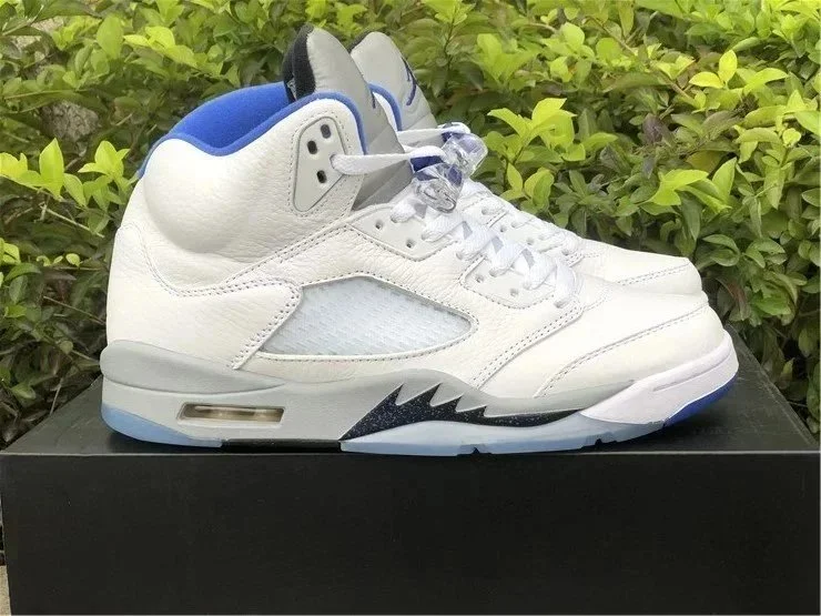 Air Jordan 5 White B