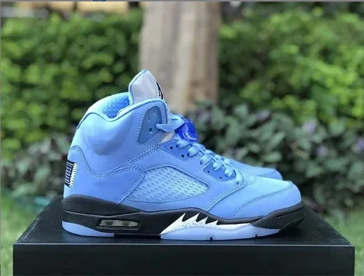 Air Jordan 5 Univers