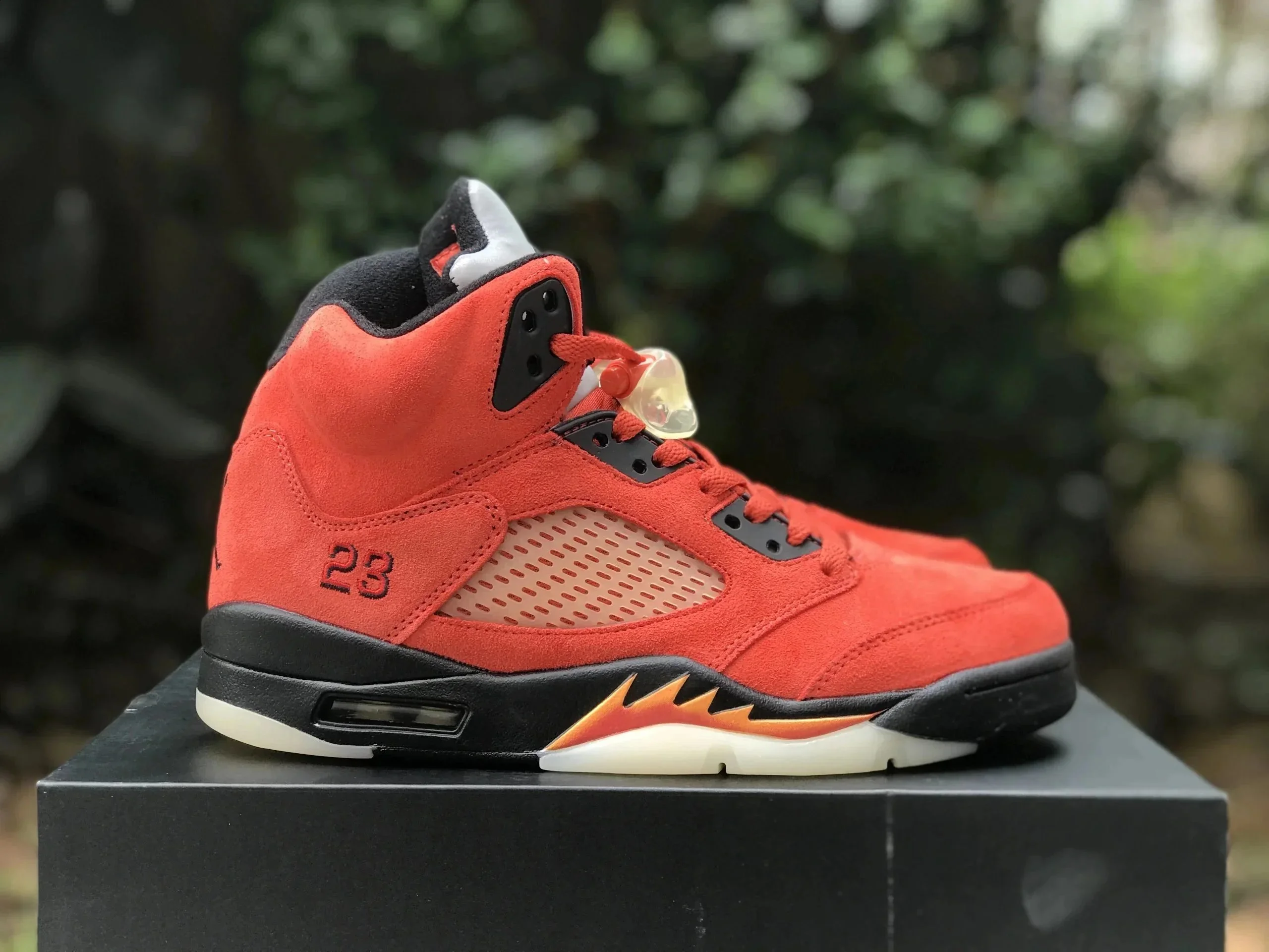 Air Jordan 5 Red Sne