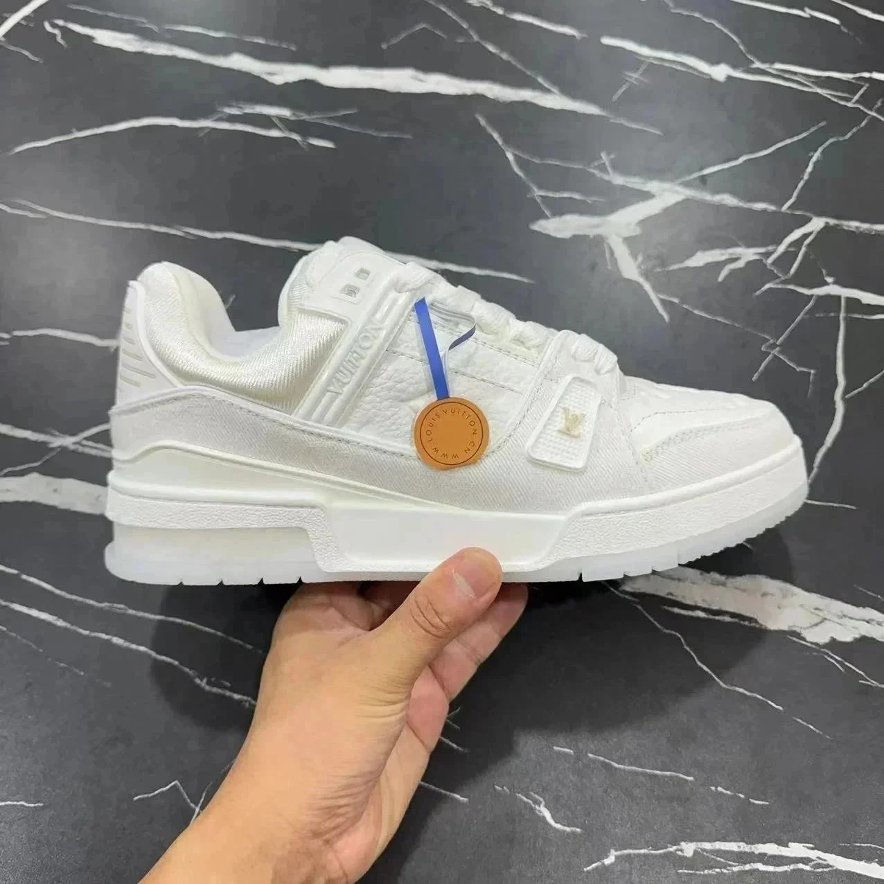 Louis Vuitton Traine