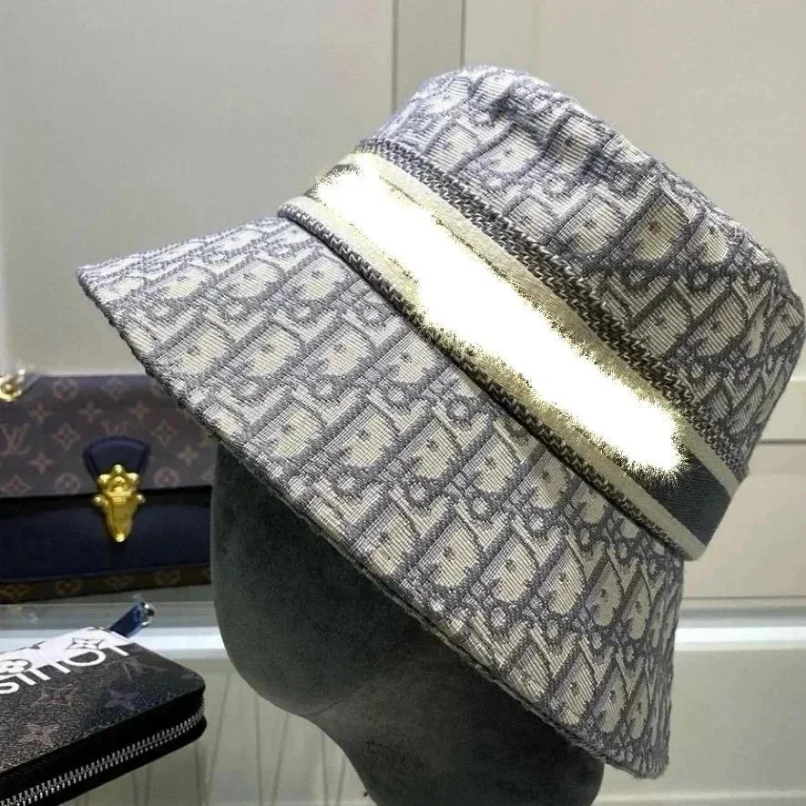 Dior Grey Hat