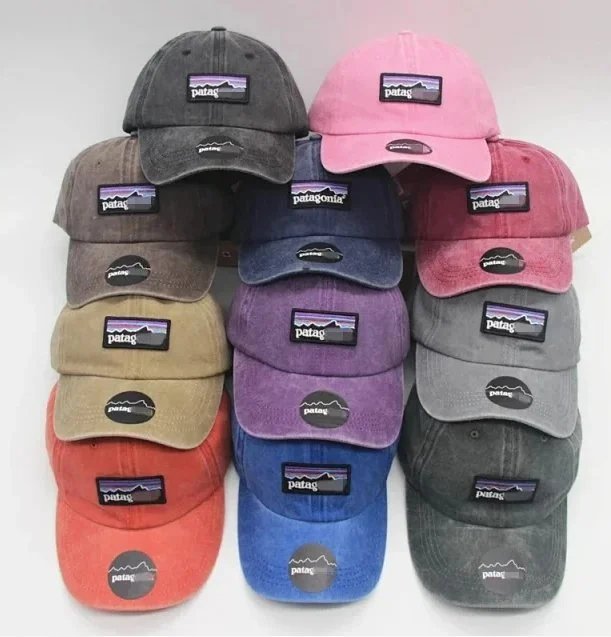 Patagonia P-6 Logo Cap [16 sty