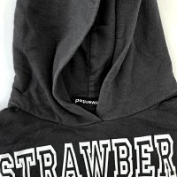 Strawberry Mansion Hoodie — seller photo 5