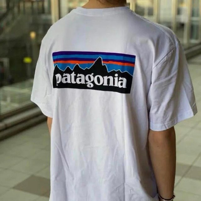 Patagonia T-Shirts: seller detail photo 9