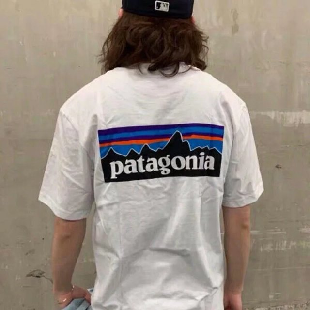Patagonia T-Shirts: seller detail photo 12