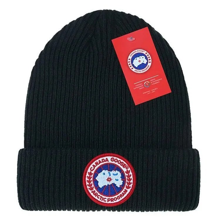 Canada Goose Arctic Program Beanie Red - 12