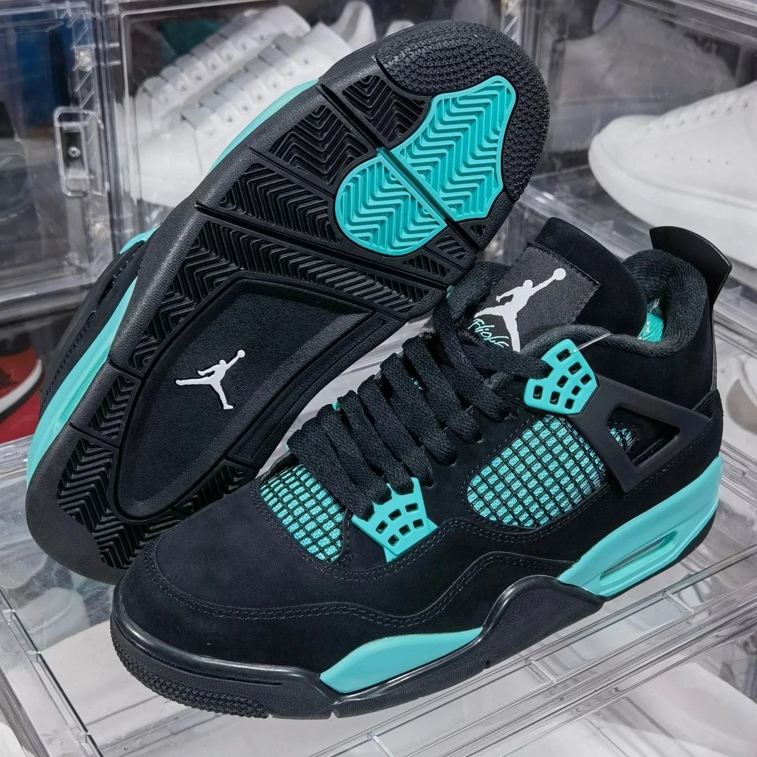 shoe