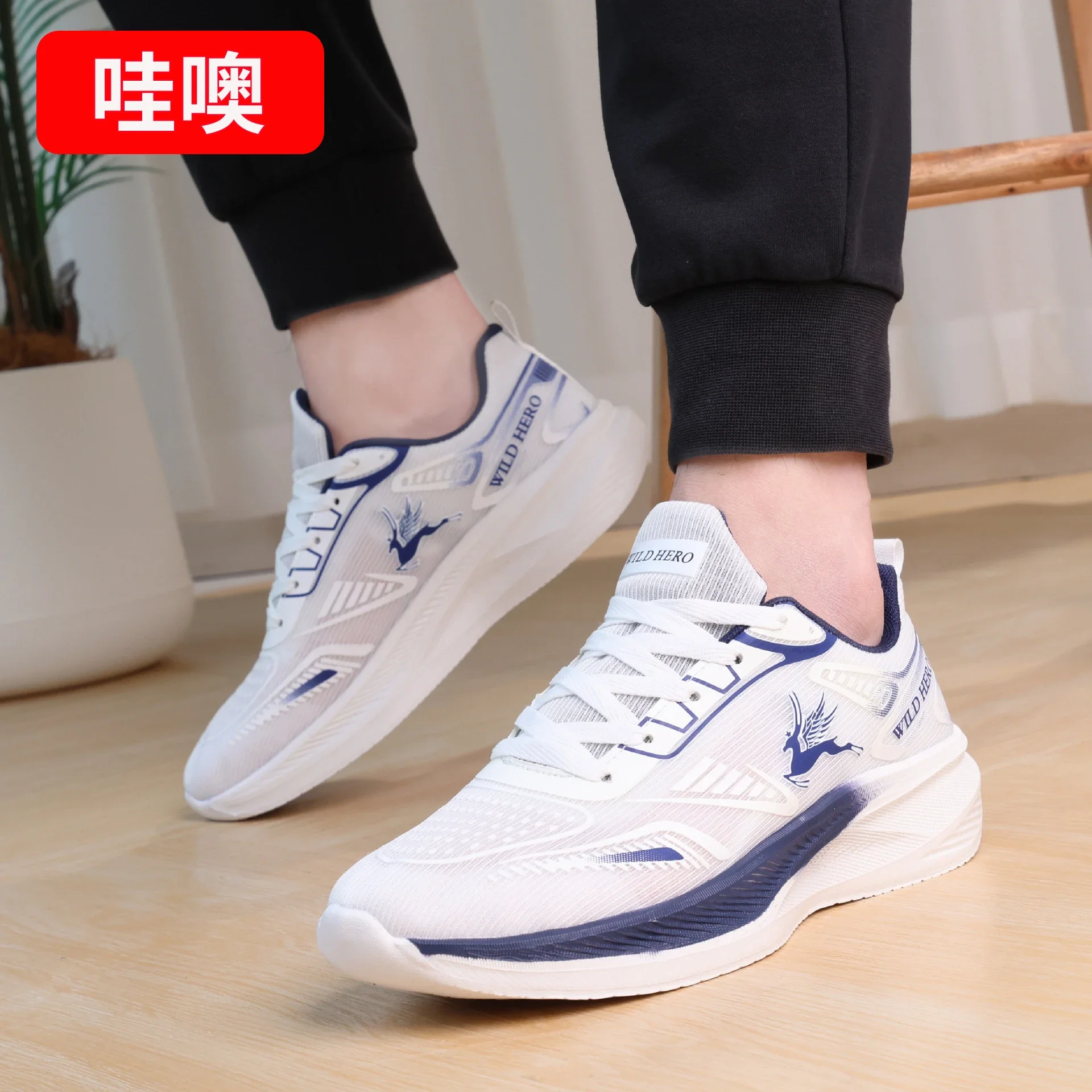 Men's Summer Ultra Light Mesh Couple Sneakers
