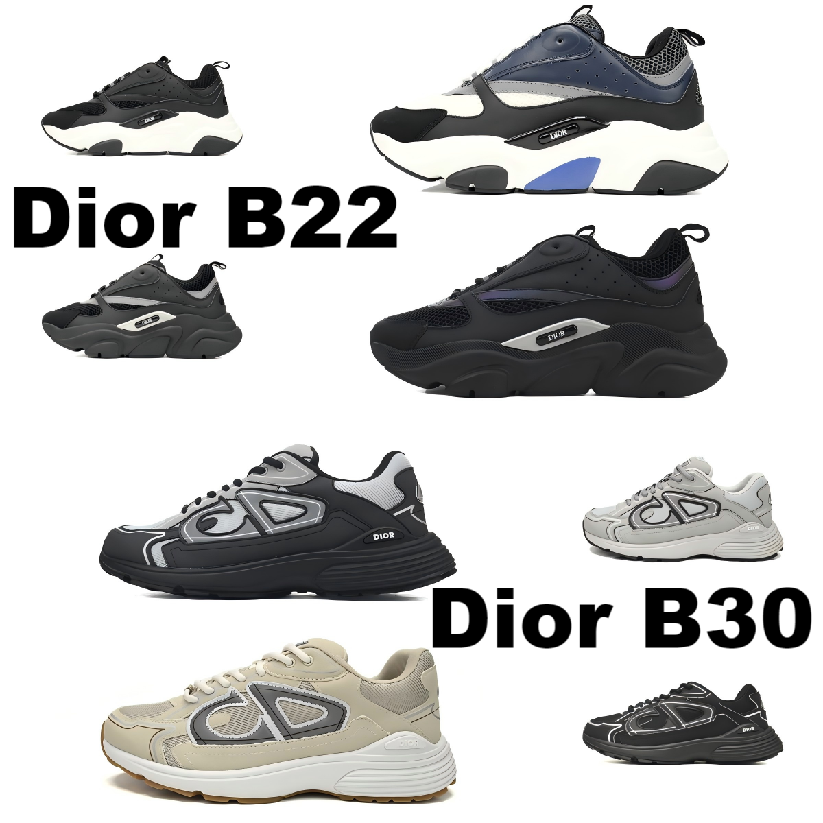 Dior B22